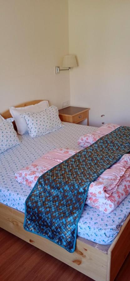 Lhardak Home Stay Лех Экстерьер фото